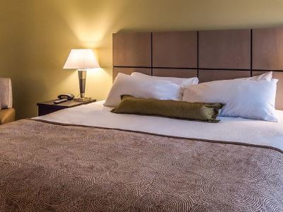 Candlewood Suites Gonzales - Baton Rouge Area, An Ihg Hotel Екстер'єр фото